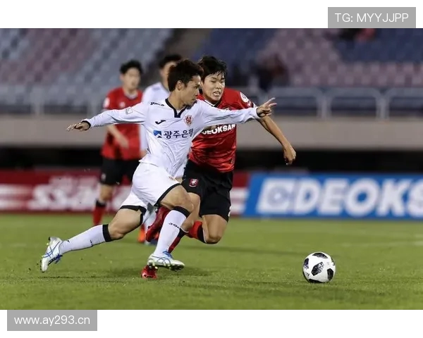 墨尔本胜利后卫哈米尔十字韧带重伤确认无缘半决赛次回合比赛